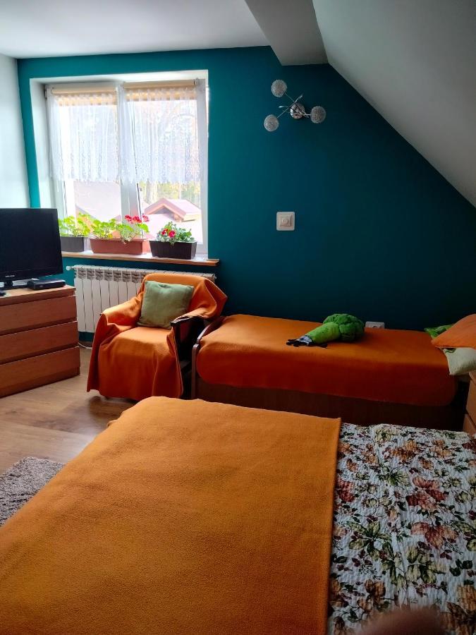 Zgorzanka Villa Istebna Eksteriør bilde